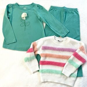 Girls 3T Long Sleeve Shirt with Flower Design, matching leggings & sweater.